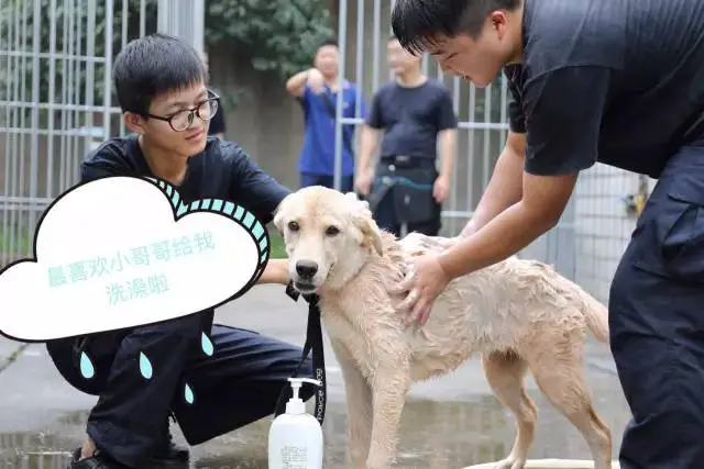 初中篮球战术一周训练计划_0